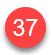 37.jpg
