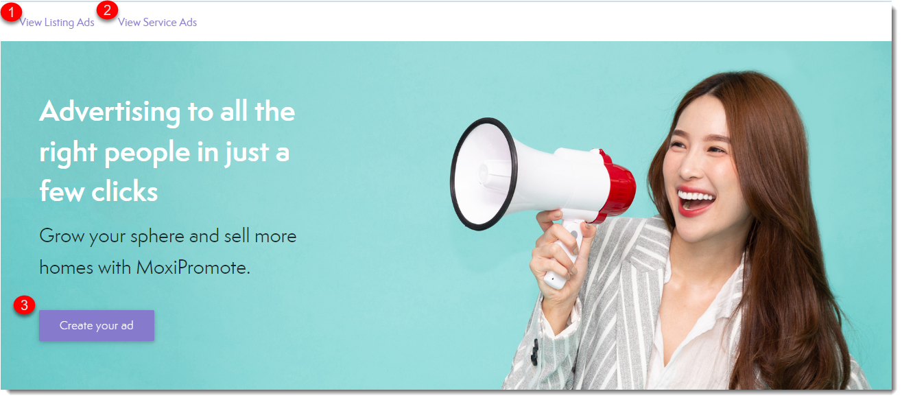 Header on Promote Page.png