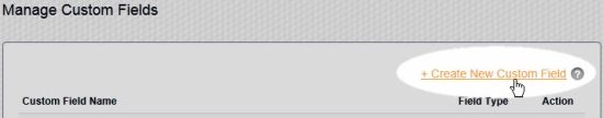 CreateNewCustomField.jpg