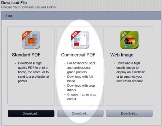 CommercialPDF.jpg